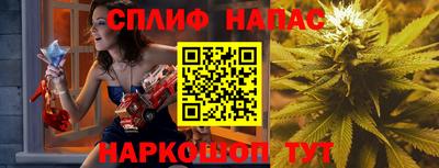 стаф Будённовск