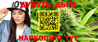 стаф Будённовск