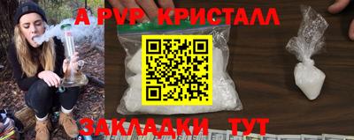 стаф Будённовск