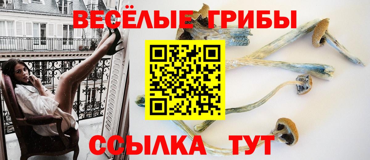 Псилоцибиновые грибы Magic Shrooms  Вход с VPN  Котлас 