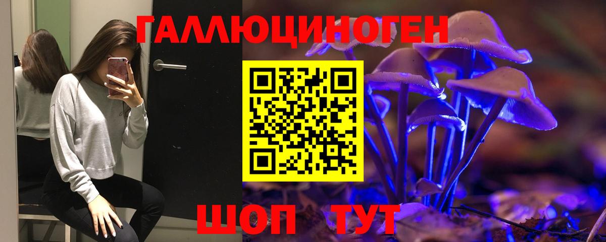 Галлюциногенные грибы GOLDEN TEACHER Котлас
